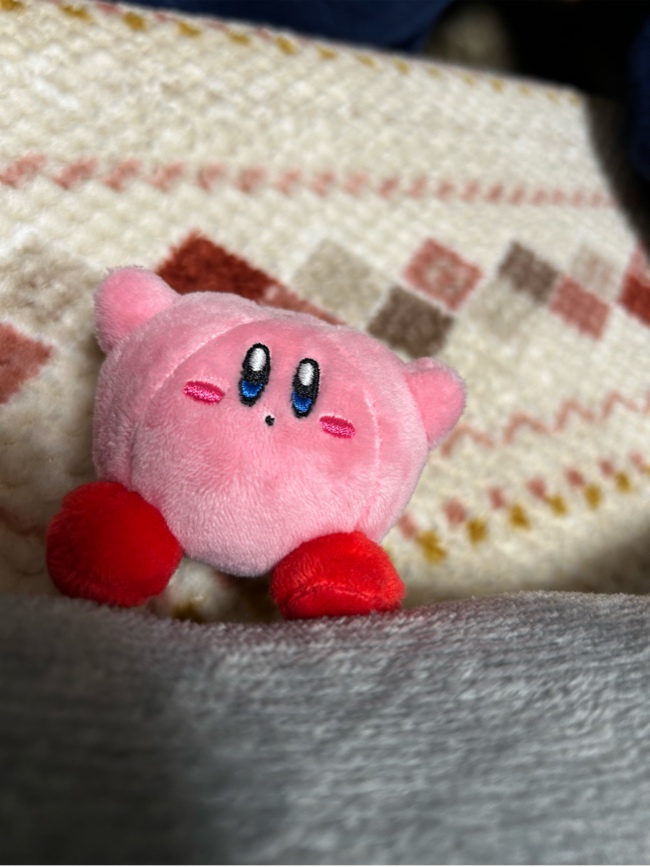 ̹